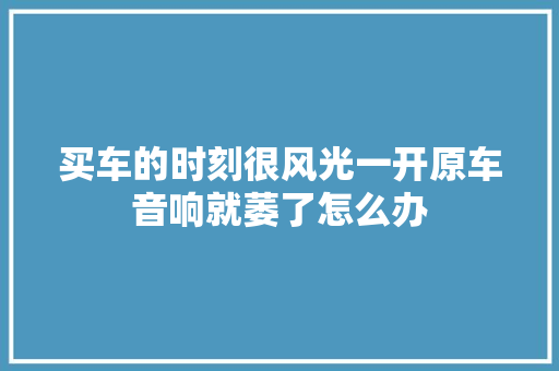 买车的时刻很风光一开原车音响就萎了怎么办