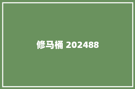 修马桶 202488