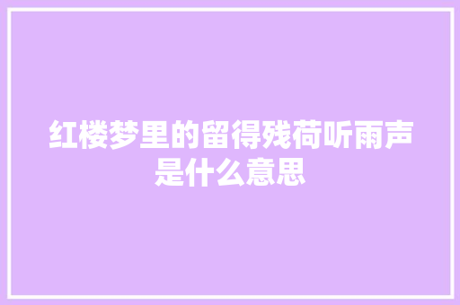 红楼梦里的留得残荷听雨声是什么意思