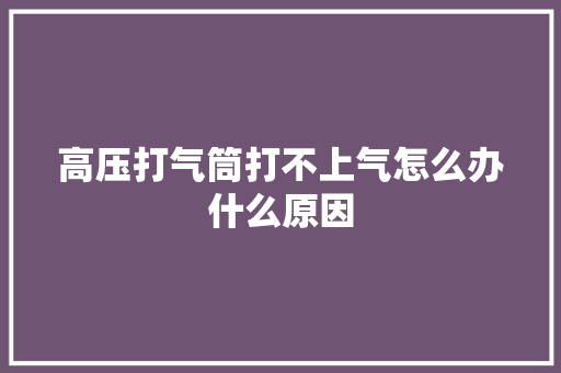 高压打气筒打不上气怎么办什么原因