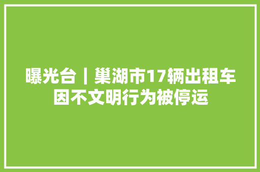 曝光台｜巢湖市17辆出租车因不文明行为被停运
