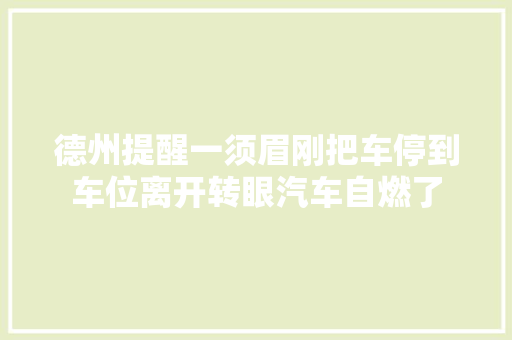 德州提醒一须眉刚把车停到车位离开转眼汽车自燃了
