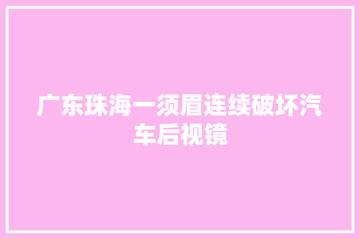 广东珠海一须眉连续破坏汽车后视镜