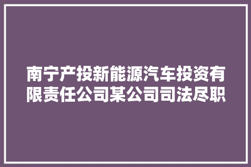 南宁产投新能源汽车投资有限责任公司某公司司法尽职查询访问做事项目
