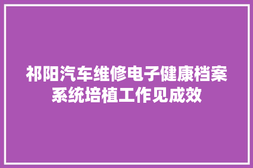 祁阳汽车维修电子健康档案系统培植工作见成效 汽车知识