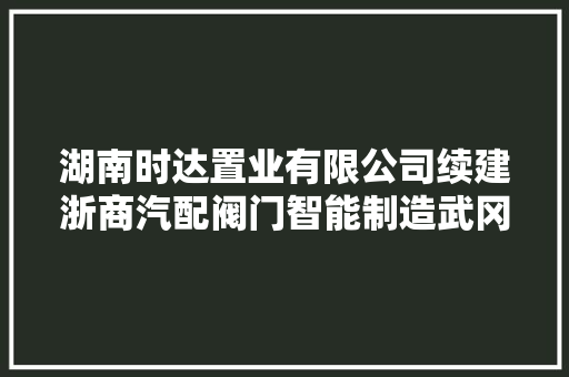 湖南时达置业有限公司续建浙商汽配阀门智能制造武冈家当园