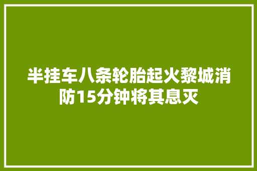 半挂车八条轮胎起火黎城消防15分钟将其息灭