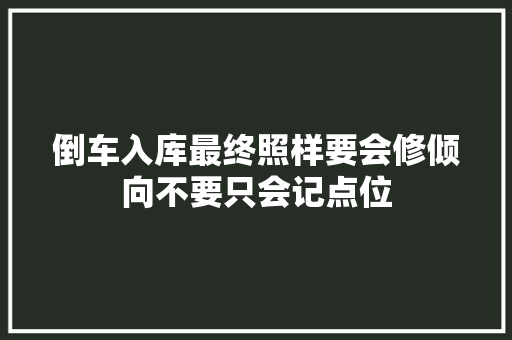 倒车入库最终照样要会修倾向不要只会记点位