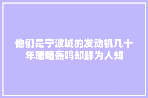 他们是宁波城的发动机几十年暗暗轰鸣却鲜为人知