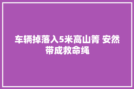 车辆掉落入5米高山箐 安然带成救命绳