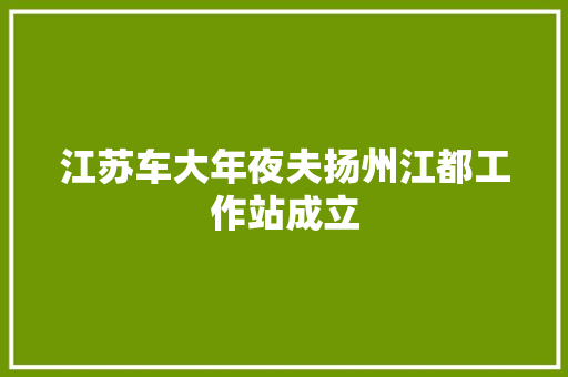 江苏车大年夜夫扬州江都工作站成立