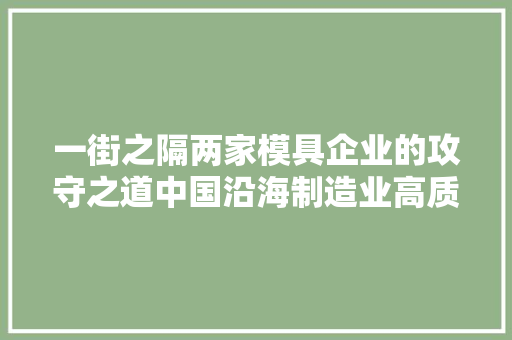 一街之隔两家模具企业的攻守之道中国沿海制造业高质量成长查询访问