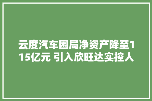 云度汽车困局净资产降至115亿元 引入欣旺达实控人