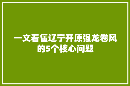 一文看懂辽宁开原强龙卷风的5个核心问题