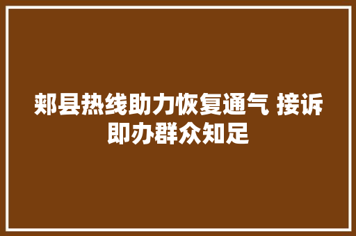 郏县热线助力恢复通气 接诉即办群众知足