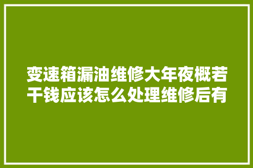 变速箱漏油维修大年夜概若干钱应该怎么处理维修后有什么影响吗