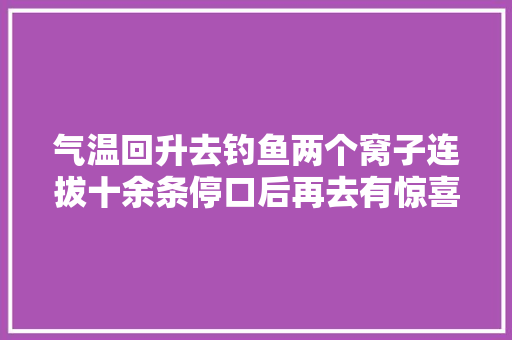 气温回升去钓鱼两个窝子连拔十余条停口后再去有惊喜