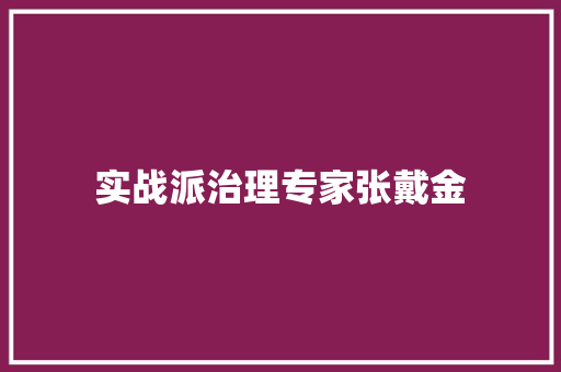 实战派治理专家张戴金
