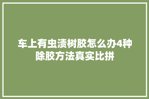车上有虫渍树胶怎么办4种除胶方法真实比拼