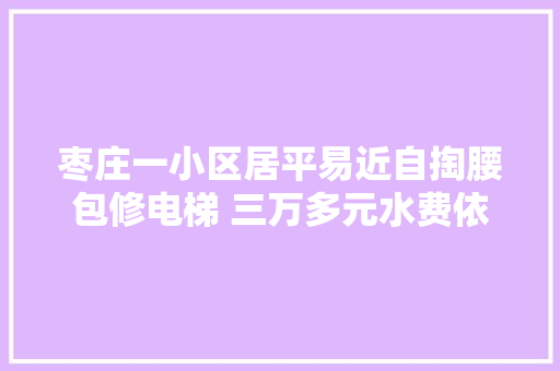 枣庄一小区居平易近自掏腰包修电梯 三万多元水费依旧闹心