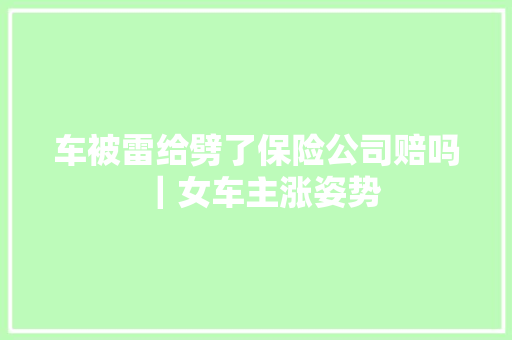 车被雷给劈了保险公司赔吗｜女车主涨姿势