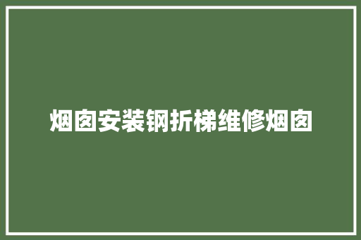 烟囱安装钢折梯维修烟囱