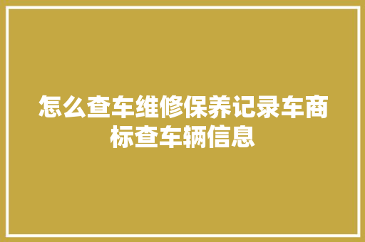 怎么查车维修保养记录车商标查车辆信息
