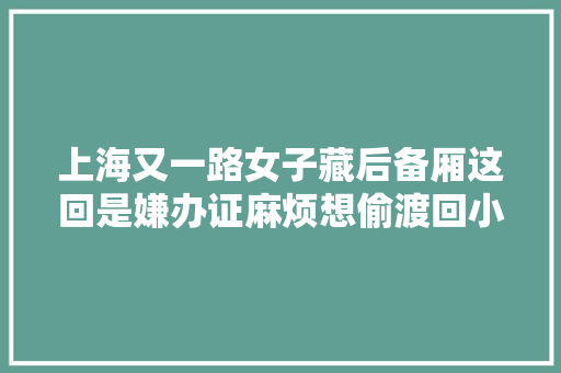 上海又一路女子藏后备厢这回是嫌办证麻烦想偷渡回小区