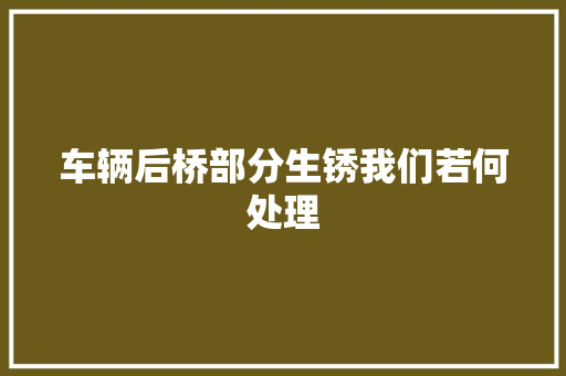 车辆后桥部分生锈我们若何处理