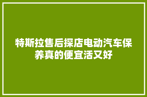 特斯拉售后探店电动汽车保养真的便宜活又好