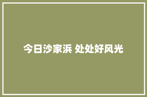 今日沙家浜 处处好风光