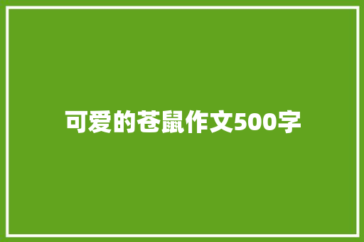 可爱的苍鼠作文500字