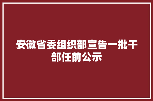 安徽省委组织部宣告一批干部任前公示