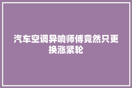 汽车空调异响师傅竟然只更换涨紧轮