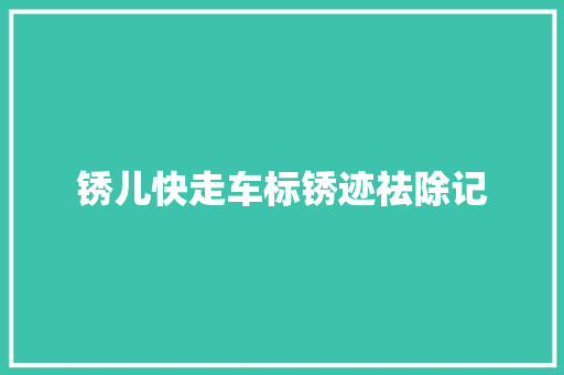 锈儿快走车标锈迹祛除记