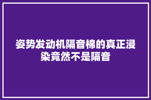 姿势发动机隔音棉的真正浸染竟然不是隔音