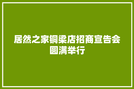 居然之家铜梁店招商宣告会圆满举行
