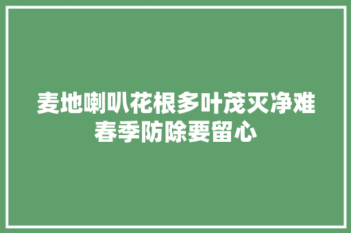 麦地喇叭花根多叶茂灭净难春季防除要留心