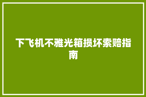 下飞机不雅光箱损坏索赔指南