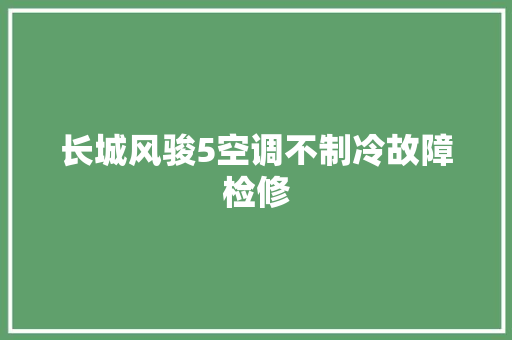 长城风骏5空调不制冷故障检修