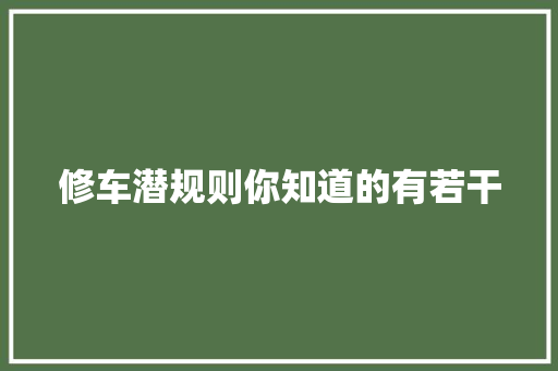 修车潜规则你知道的有若干