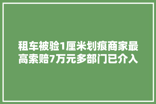 租车被验1厘米划痕商家最高索赔7万元多部门已介入查询访问核实相关情况平台方称正核实
