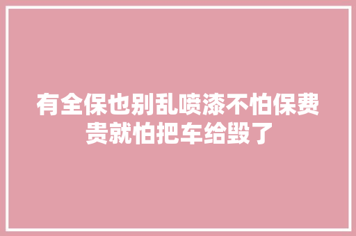 有全保也别乱喷漆不怕保费贵就怕把车给毁了