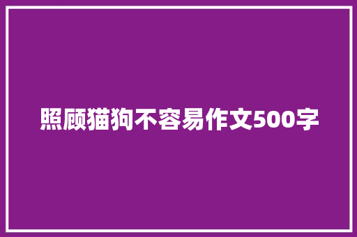 照顾猫狗不容易作文500字