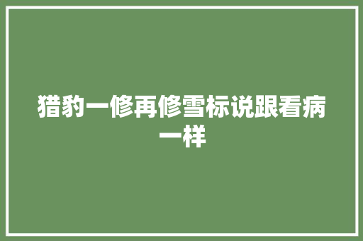 猎豹一修再修雪标说跟看病一样