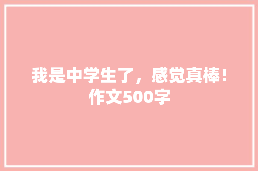 我是中学生了，感觉真棒！作文500字