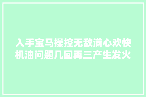 入手宝马操控无敌满心欢快机油问题几回再三产生发火慌得一批