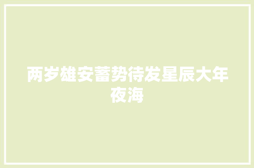 两岁雄安蓄势待发星辰大年夜海