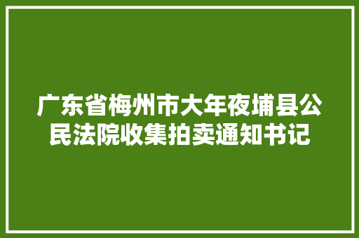 广东省梅州市大年夜埔县公民法院收集拍卖通知书记