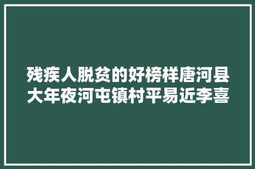 残疾人脱贫的好榜样唐河县大年夜河屯镇村平易近李喜柱
